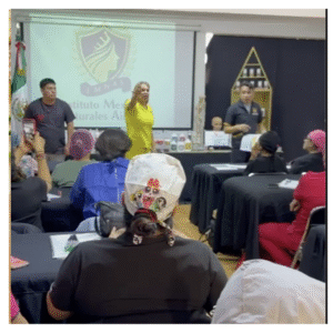 capacitacion 500 2